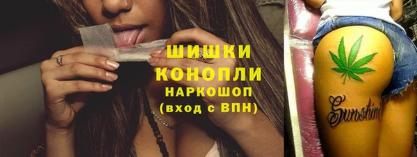шишки Армянск