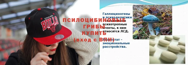 шишки Армянск