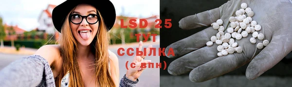 шишки Армянск