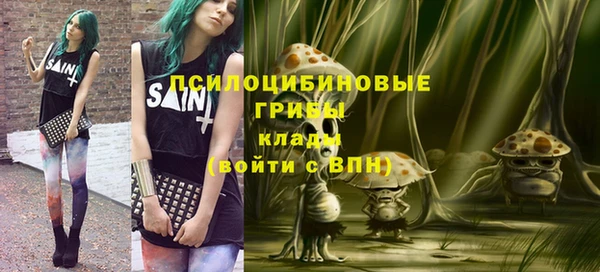 шишки Армянск